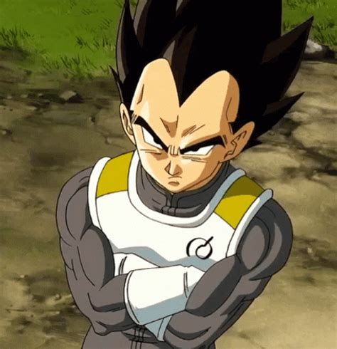 Angry Anime Vegeta  Uinona S