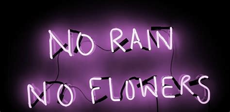 Eve De Haan No Rain No Flowers 2021 Quantus Gallery