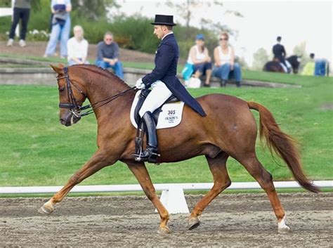 Transform the relationship you have with your horse while creating calmness, attentiveness, responsiveness, and eagerness. Increase Your Dressage Horse's Mobility - Dressage Today