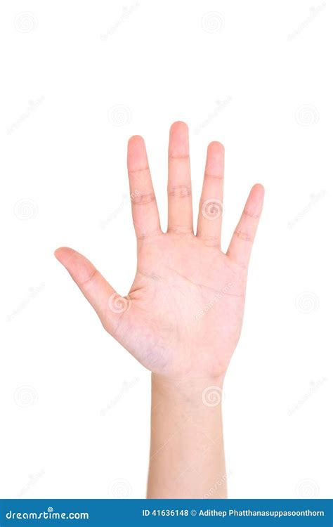 Mano Izquierda De La Mujer Que Muestra Los Cinco Fingeres Aislados Foto De Archivo Imagen De