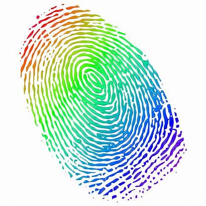 Finger Analysis Fingerprints Center Holistic Purpose Beauty