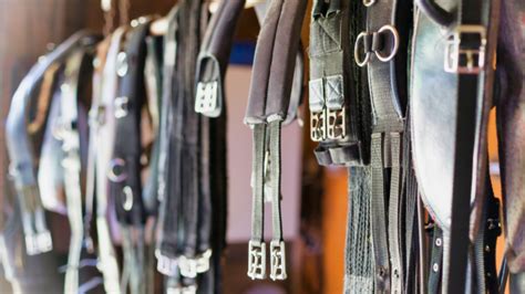 Choosing The Best Girth For Horse Comfort Equestrian Mag