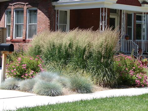 Ornamental Grass Spacing How Far Apart Should You Plant Craftsmumship