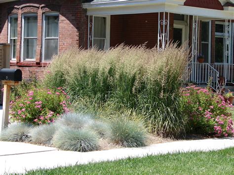 Walmart.com has been visited by 1m+ users in the past month New Utah Gardener: Waterwise Ornamental Grasses