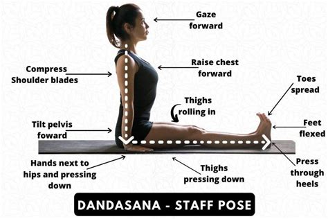 Dandasana Staff Pose Steps Benefits And Precautions Fitsri Yoga