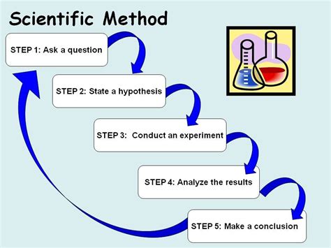What Are The Five Steps Of The Scientific Method Mallory Has Duncan