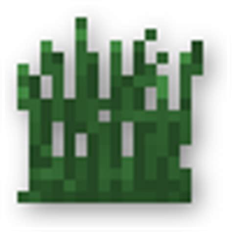 In order for wool to grow again, the sheep in minecraft have to eat like in real life. Plants and Flowers | Minecraft 101