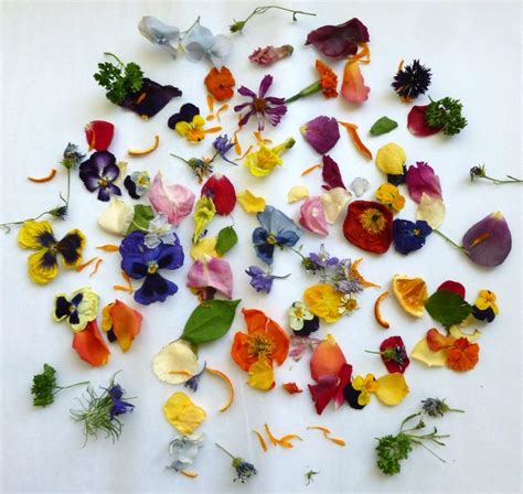Tie the knot in style! Flower Confetti, Dried Flowers, Dried Rose Petals, Wedding ...