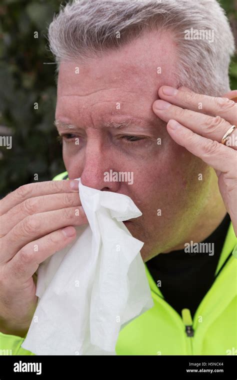 Senior Man Suffering From Seasonal Allergies Stock Photo Alamy