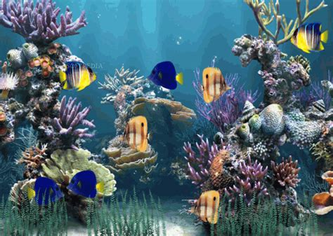Here are only the best best animated wallpapers. Download Aquarium Animated Wallpaper 1.1.0