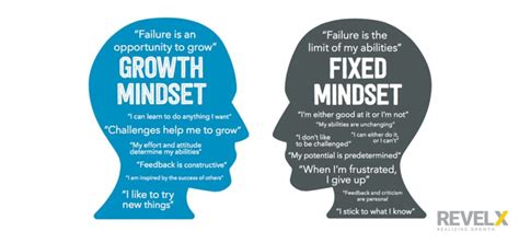 5 Growth Mindset Examples That You Can Use In Your Job Tomorrow