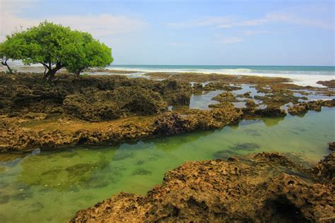 Maybe you would like to learn more about one of these? Dua Sisi yang Berbeda di Pantai Pasir Putih Cihara ...