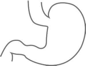 Imagenes De Estomago Para Colorear