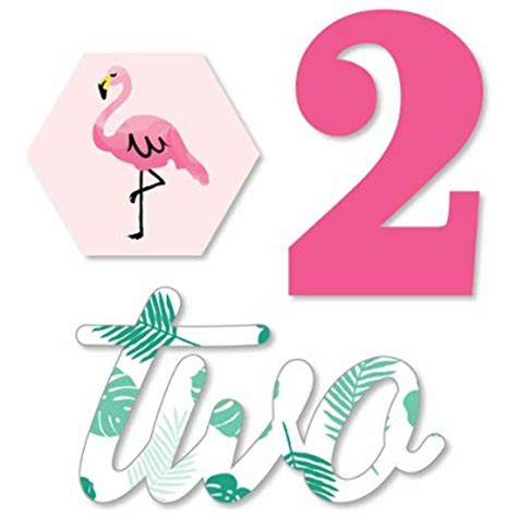 Download High Quality Flamingo Clip Art Birthday