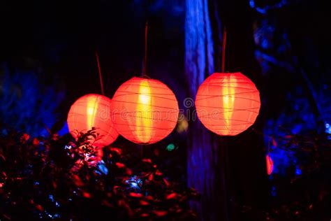 Enchanted Forest Of Light Beautiful Glowing Lanterns At Night Stock