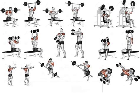 Dumbbell Shoulder Workout Plan Eoua Blog