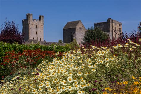Helmsley Walled Garden Continuing To Shine