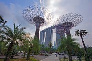 Mycket fina promenadvägar i en lung miljö bland växter från hela världen och enorma missa inte gardens by the bay. File:Supertree Grove, Gardens by the Bay, Singapore ...