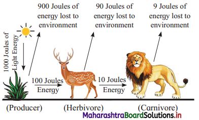 Maharashtra Board Class 12 Biology Important Questions Chapter 14