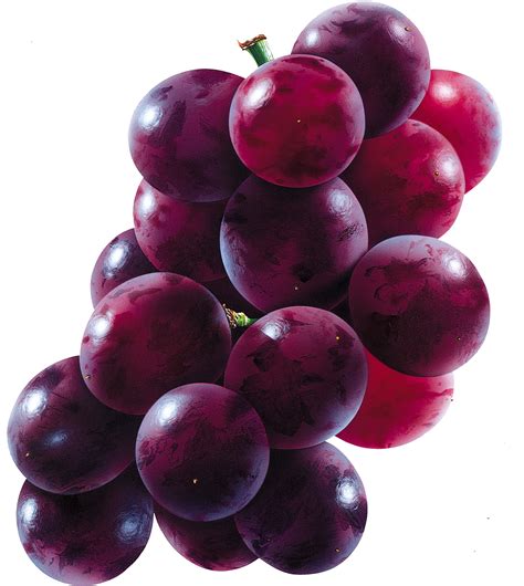 Collection Of Grapes Png Pluspng