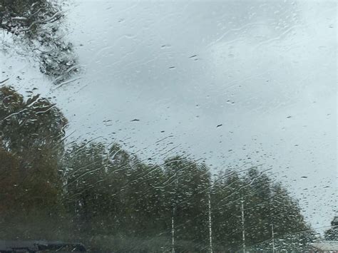 3264x2448 Blur Cold Rain Rain On Window Tree Weather Wallpaper