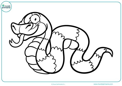 Ver más ideas sobre dibujar objetos, dibujos realistas, dibujos. Dibujos de animales de la selva para colorear - Mundo Primaria