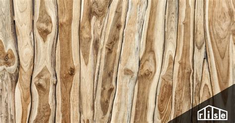 Rare And Exotic Wood For Homes A Complete Guide