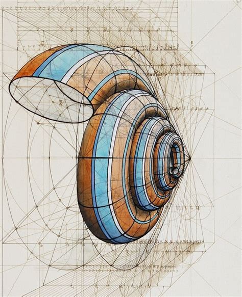 Rafael Araujo Shell Geometry Art Fibonacci Art Geometric Art