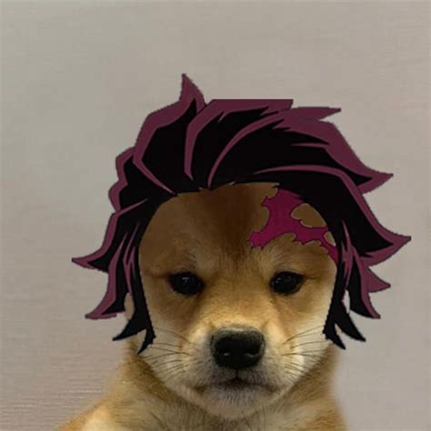 Dogojiro Dogwifhat Dog Icon Anime Funny Cute Memes