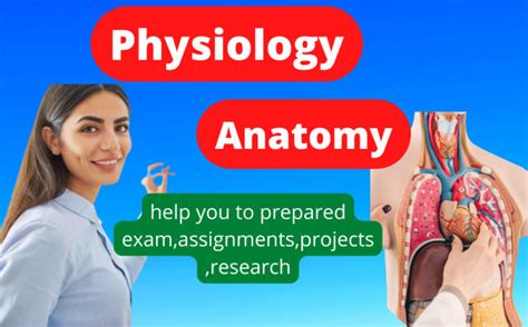 Tutor You Anatomy And Physiology By Danielali786 Fiverr