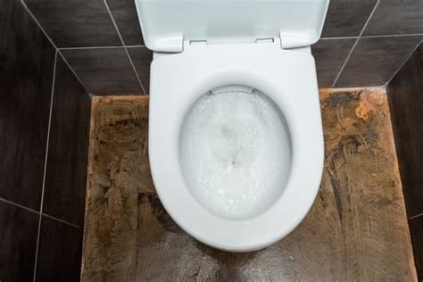 Why Is My Toilet Gurgling Easy Ways To Fix It Sensible Digs