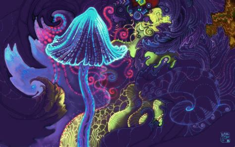 10 Top Magic Mushroom Wallpaper Full Hd 1080p For Pc