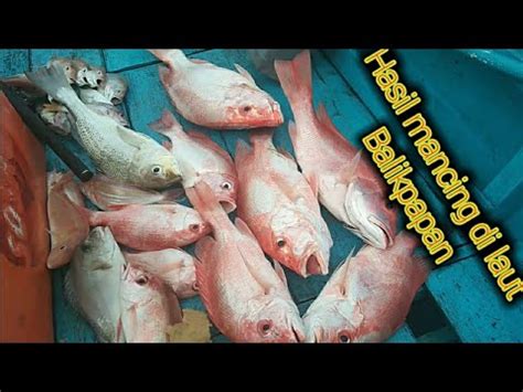 We did not find results for: Tenyata di laut Balikapapan masih banyak ikan merah nya ...
