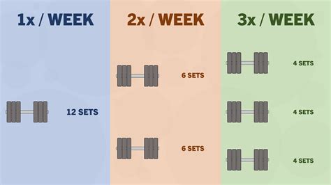 How Many Times Per Week Should You Train Each Muscle Youtube