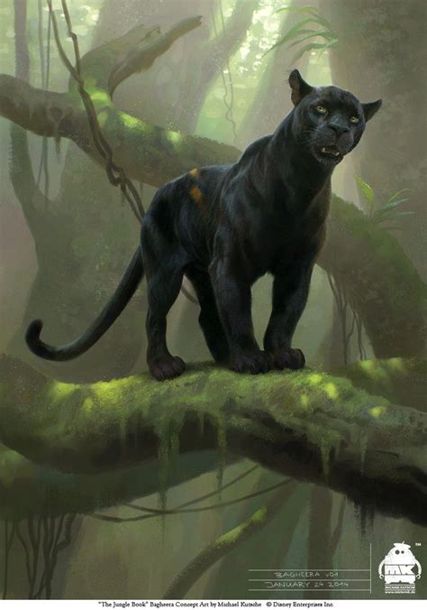 Check spelling or type a new query. The Jungle Book: Bagheera concept | Jungle book bagheera, Jungle book, Jungle book characters