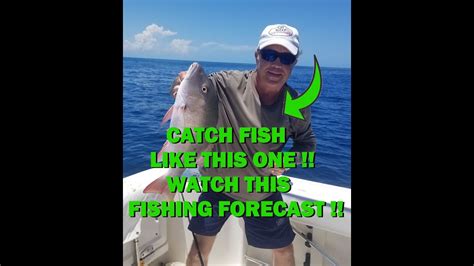 Florida Keys South Florida Fishing Forecast August 2023 Youtube