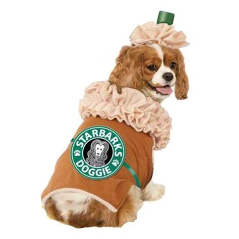 Top 20 Best Cute Dog Costumes For Halloween In 2017