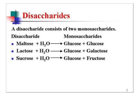 Ppt Disaccharides Powerpoint Presentation Free Download Id9326440