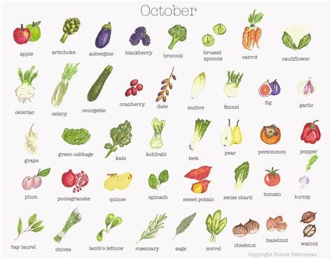 List Of Vegetables Useful Vegetables Names In English With Images