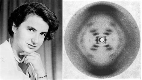 Watson And Crick The Discovery Of The Dna Structure Stmu Research