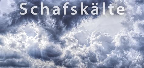Der euro hat sich etabliert, natürlich weiß man nicht wie dieser sich entwickelt bzw. Schafskälte: Wann kommt der Hochsommer zurück ...