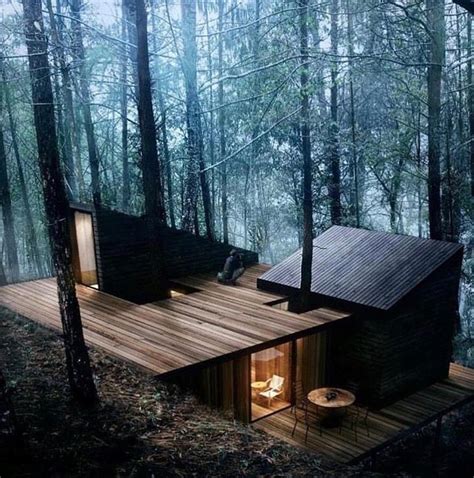 Forest Cabin Forest House House In The Woods House Design