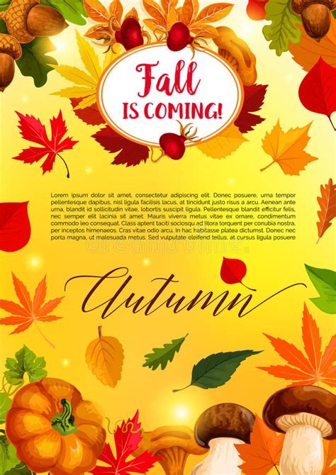 Autumn Leaf And Harvest Vegetable Banner Template Stock