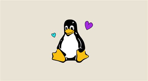 Linux Betriebssystem Warum Ist Es Das Beliebteste Os Für Entwickler