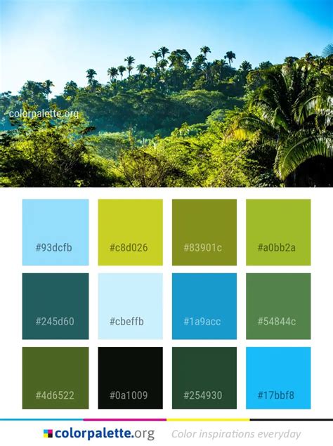 Jungle Color Palette Ideas