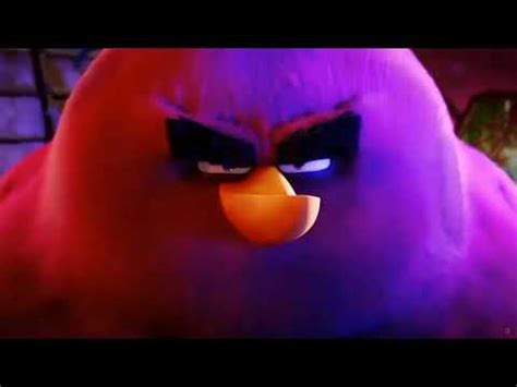 Angry Birds Terence Angry Bird Staring Meme Template By Mmemes Youtube