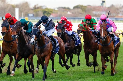 Randwick Racing Tips Best Bets And Odds Todays Betting Tips For August 7