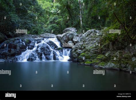 Lamington National Park Queensland Australia Stock Photo Alamy