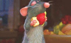 Disney Ratatouille Manger Bonheur Explosion De Saveurs Image Animated GIF