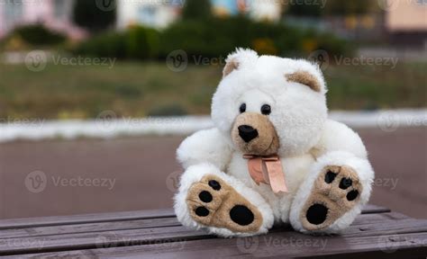 Sad Lonely Teddy Bear 2466229 Stock Photo At Vecteezy